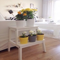 Gülseren Hanım'ın dekoratif objeleri ve çiçekleri