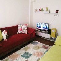 Turkuaz yeşile zarif mobilyaların eşlik ettiği keyifli bir ev..