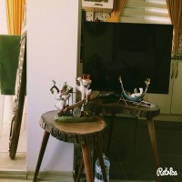 Doğal, country ve modern tarzların uyum içinde kullanıldığı harika ev