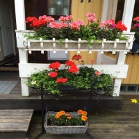 Gül Hanım'ın içimizi ısıtan sıcacık evi