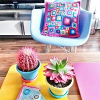 Pembe, mavi ve sarılarla rengarenk bir yaşam