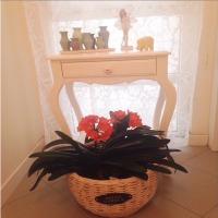 Beyazın canlı renklerle kombinlendiği içimizi açan bir ev