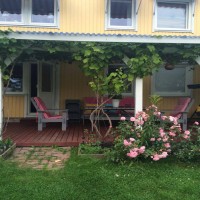 Klima Olmadan Evi Serin Tutmanın 12 Yolu