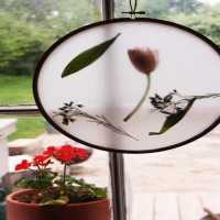 Kuruttuğunuz çiçeklerler ve kasnaktan duvar dekoru projesi..