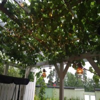 Gül Hanım'ın içimizi ısıtan sıcacık evi