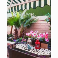 Sema Hanım'ın cıvıl cıvıl bahçe katı evinde ev gezmesindeyiz