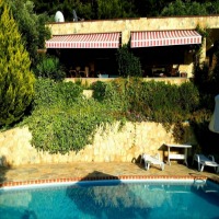 Aydın'da Zeytinlikler Arasında Otantik Bir Köy Evi!