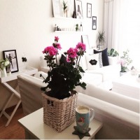 Gülseren Hanım'ın aksesuar ve mevsim çiçekleriyle renklenen beyaz evi