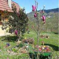 Zuhal Hanım'ın köy evi