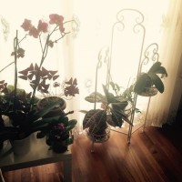 Antik şıklığın ağırlıklı olduğu konforlu ve sofistike bir dekor..