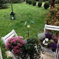 Yeşil ve çiçeklerin odakta olduğu zarif ve huzurlu bir ev