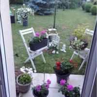 Yeşil ve çiçeklerin odakta olduğu zarif ve huzurlu bir ev