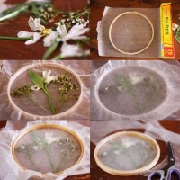 Kuruttuğunuz çiçeklerler ve kasnaktan duvar dekoru projesi..