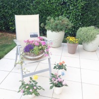 Yeşil ve çiçeklerin odakta olduğu zarif ve huzurlu bir ev