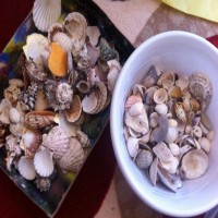 Sahilden toplanan deniz kabuklarından kapı süsü