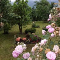 Zuhal Hanım'ın köy evi