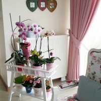 Beyhan hanımın pastel pembe, mavi ve yeşillerle country stil evi.