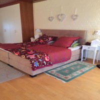 Oya Hanım'ın Almanya'da yaşadığı country ve modern, harika evi