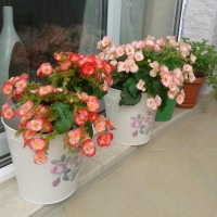 Doğru mobilya ve renk seçimleriyle çok ferah bir ev.