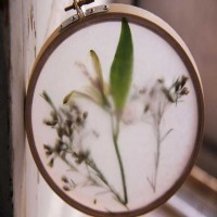 Kuruttuğunuz çiçeklerler ve kasnaktan duvar dekoru projesi..