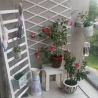 Ayşegül Hanım'ın her köşesine özendiği balkonu