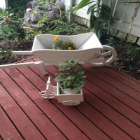 Gül Hanım'ın içimizi ısıtan sıcacık evi