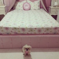 Sema Hanım'ın cıvıl cıvıl bahçe katı evinde ev gezmesindeyiz