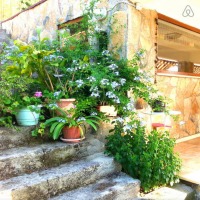 Aydın'da Zeytinlikler Arasında Otantik Bir Köy Evi!