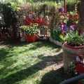 Hayalperest bir bahçe dekoru. Lale hanımın rüya gibi bahçesi.