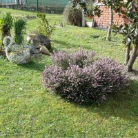 Zuhal Hanım'ın köy evi