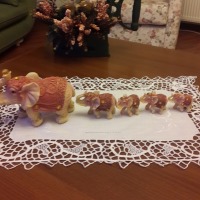 Direm Hanım'ın evi ve projeleri