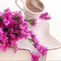 Dilek Hanım'ın birbirinden şık çay, kahve sunumları