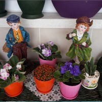 Direm Hanım'ın evi ve projeleri