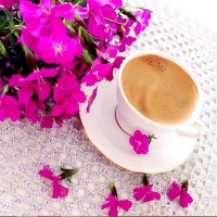 Dilek Hanım'ın birbirinden şık çay, kahve sunumları