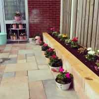 Büşra Hanım'ın Muhteşem Country Evi