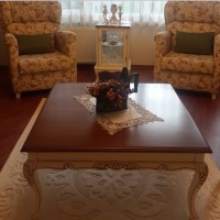 Direm Hanım'ın evi ve projeleri