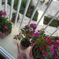 Vurgulu renklerle huzur dolu bir dekor..