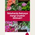 İlkbaharda Bahçeye Hangi Çiçekler Ekilmeli?