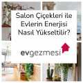 Salon Çiçekleri ile Evlerin Enerjisi Nasıl Yükseltilir?