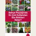 Bahçe Peyzajında En Çok Kullanılan Süs Bitkileri Neler?