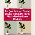 En Çok Sevilen Duvar Boyası Renkleri: Farklı Markalardan Renk Kodları