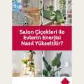 Salon Çiçekleri ile Evlerin Enerjisi Nasıl Yükseltilir?