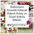 Balkonlara Güzellik Katacak Bakımı Kolay ve Güzel Kokulu Bitkiler