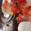 Kendin Yap: Sonbahar Dekoruna Uygun Çok Basit Aksesuar Fikirleri