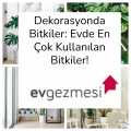 Dekorasyonda Bitkiler: Evde En Çok Kullanılan Bitkiler!