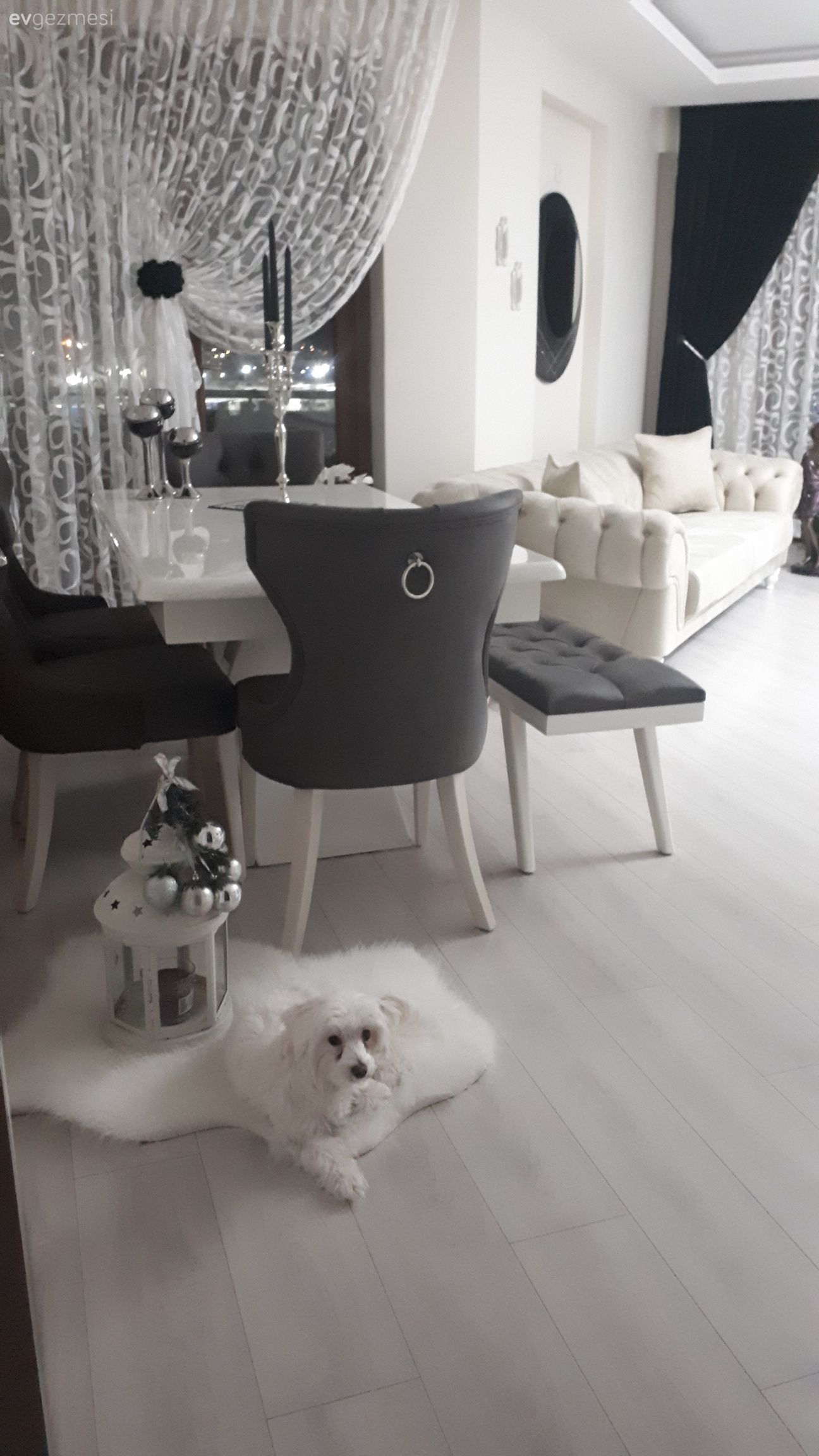 salonum için henüz uygun halı bulamadım.