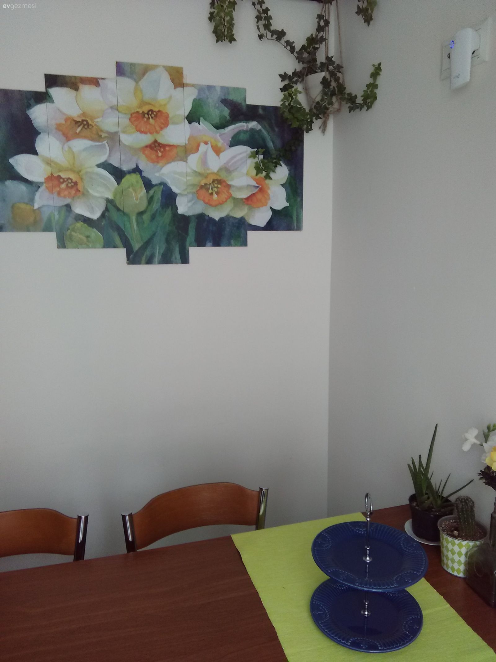 Fikir ve eleşririlerinizi paylaşın lütfen