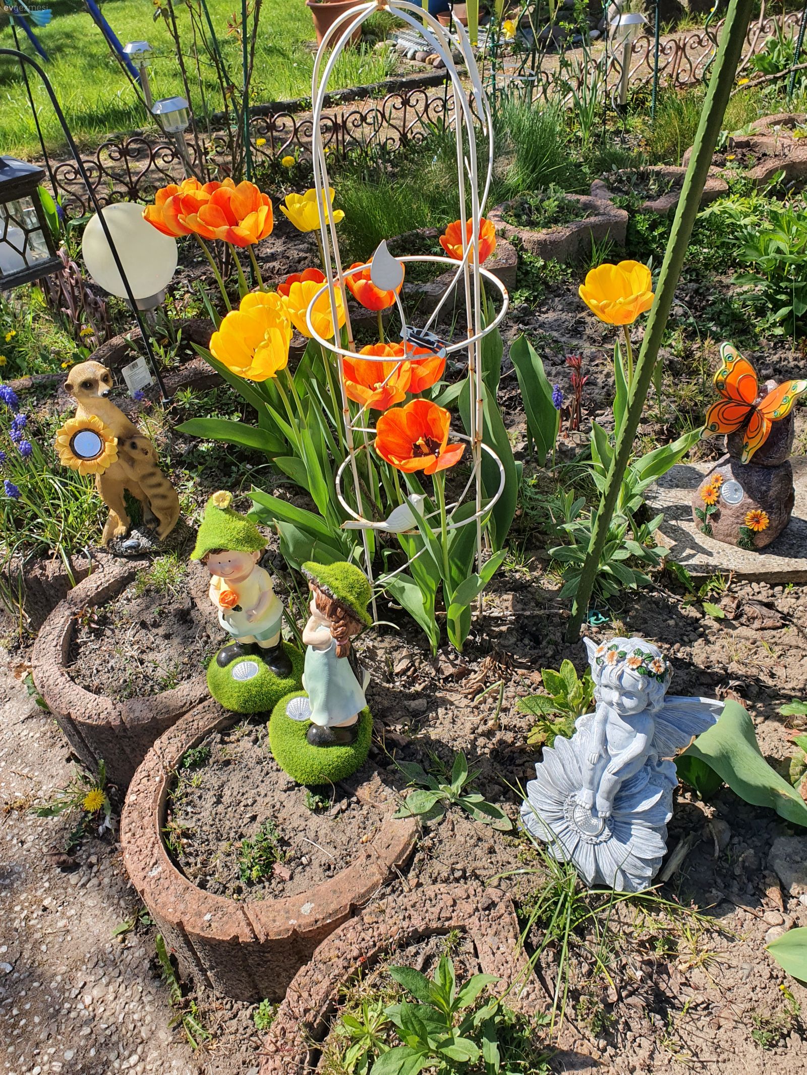 Berlinde hobi bahçemiz