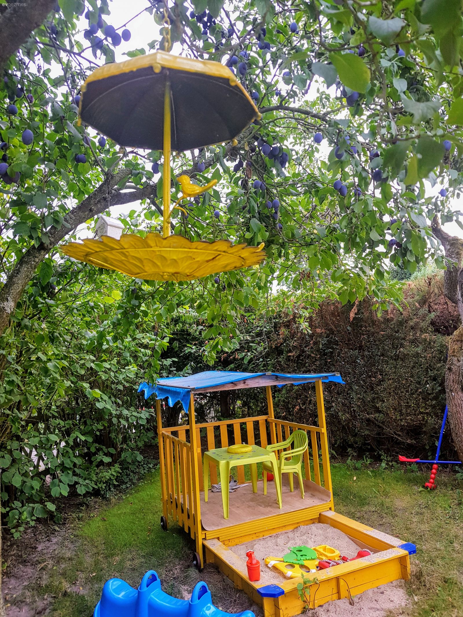 Berlinde hobi bahçemiz