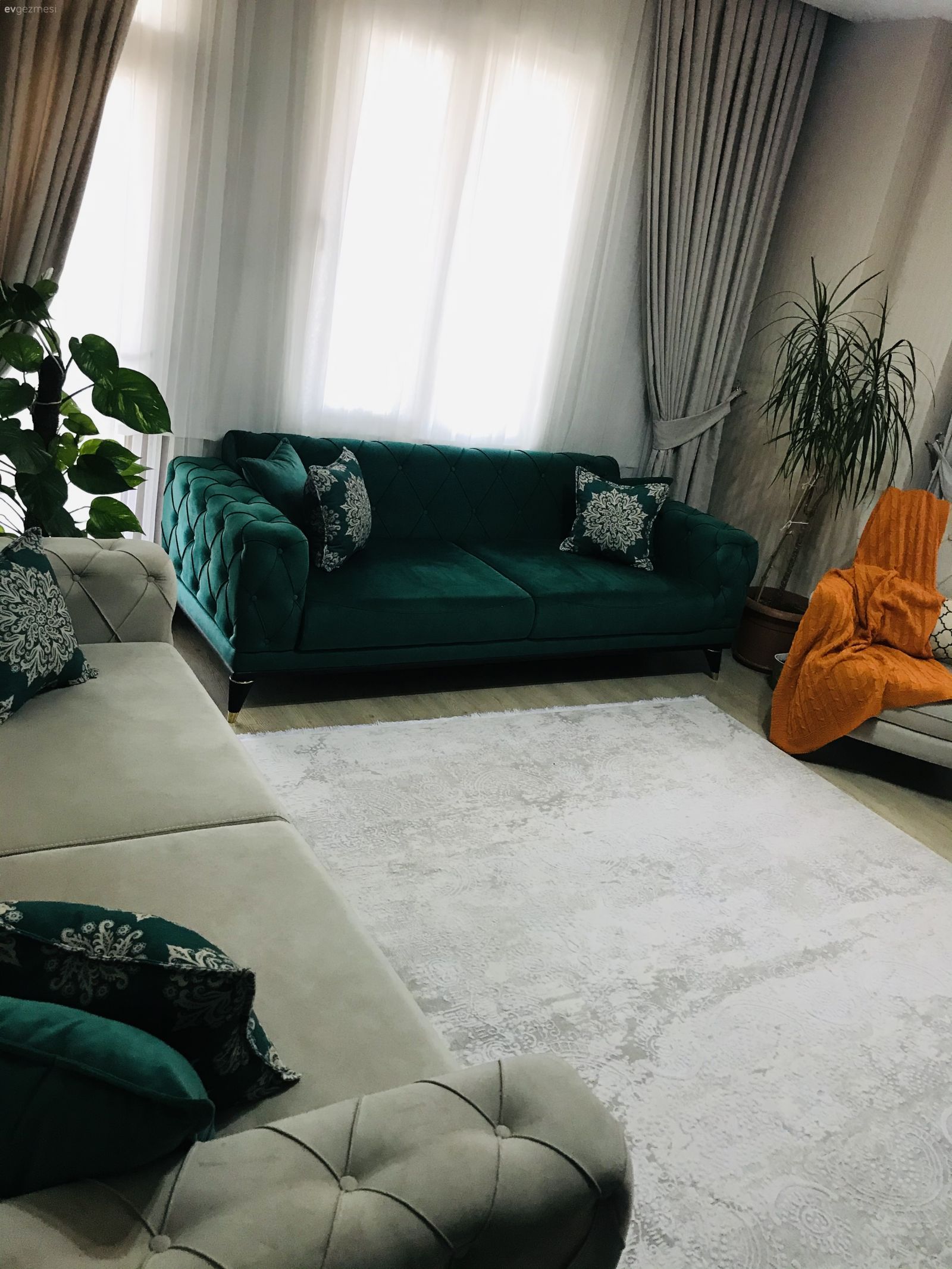 Fikir olsun size de!